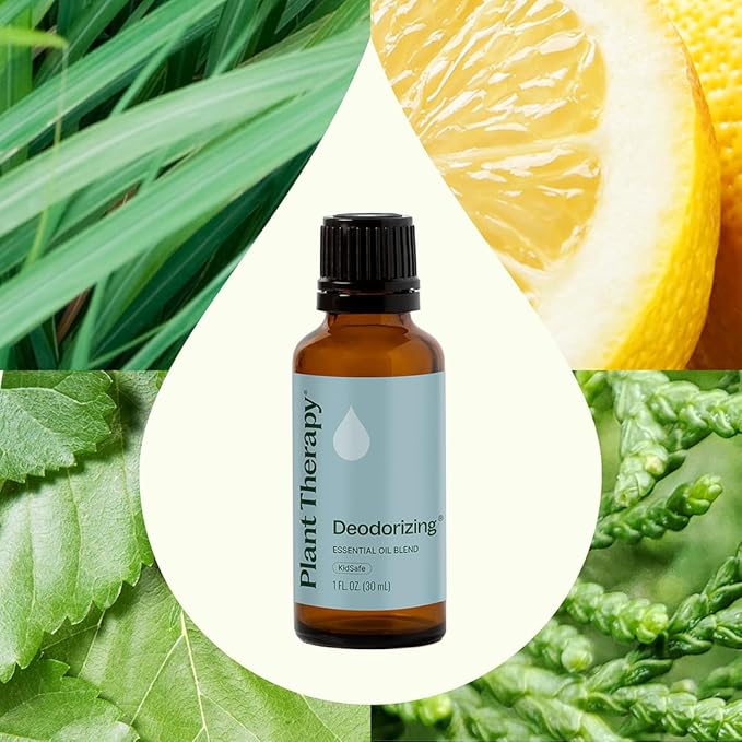 Plant Therapy Deodorizing Essential Oil Blend 30 mL (1 oz) 100% Pure, Undiluted, Therapeutic Grade PlantTherapy