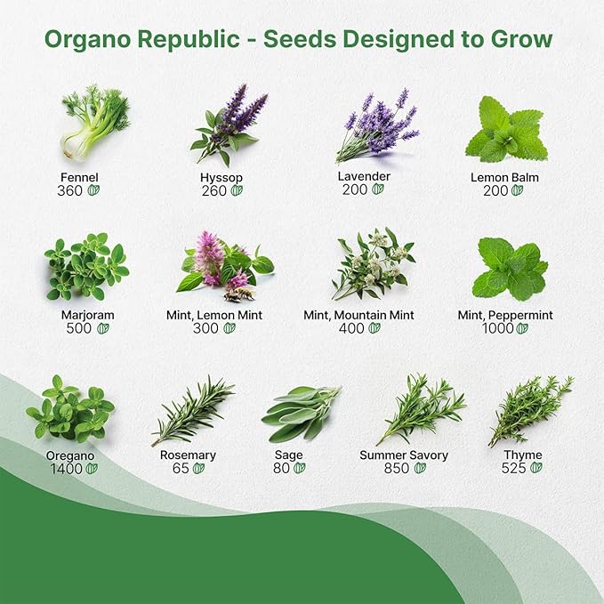 25 Most Popular Herb Seeds Variety Pack - 11,700 Non-GMO Heirloom Seeds for Planting Herbs in Individual Seed Packets for Hydroponic, Indoor & Outdoor Gardening - Bloomnest