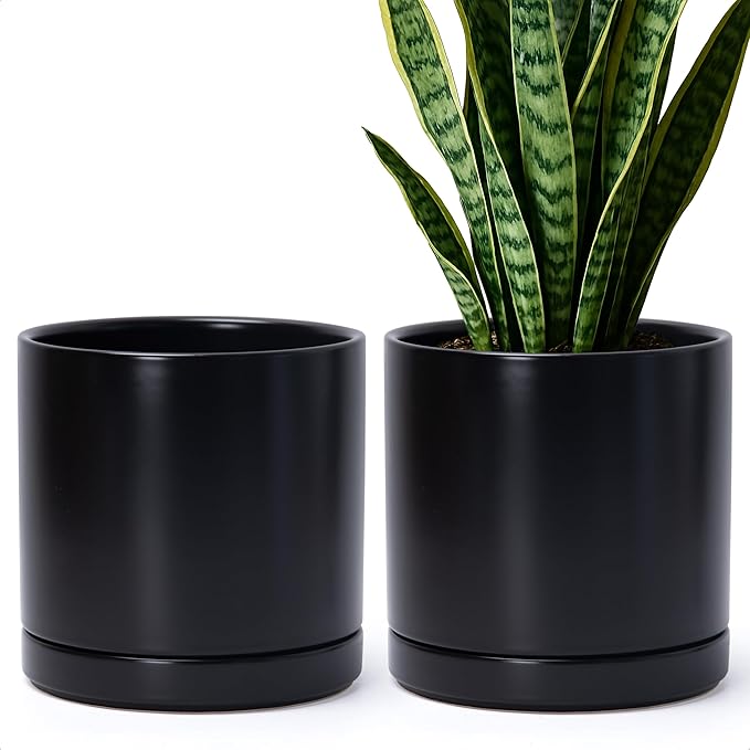 D'vine Dev Set of 2 Plants Pots, 8.2 Inch Ceramic Planter Pot for Plants with Drainage Hole and Saucer, Black, 94-V-D-2 - Bloomnest