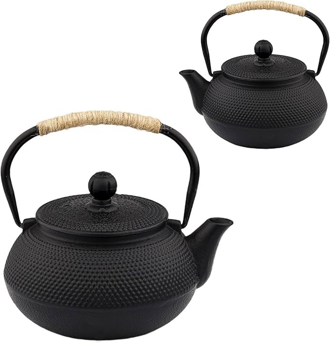 20.3oz Only, Small Tea Kettle for 1-2 Cups, Japanese Tetsubin, Cast Iron Teapot with Stainless Steel Infuser for Loose Leaf & Coffee, Tea Pot for Stovetop Safe, Enamel Interior(Black, 600ml) - Bloomnest