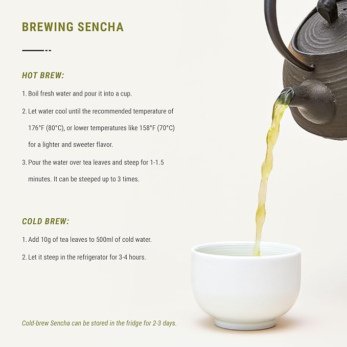 Senbird Premium Sencha - Japanese Green Tea - From Shizuoka, Japan - Loose Leaf Tea In Airtight Tea Tin (3.5oz/100g) - Bloomnest