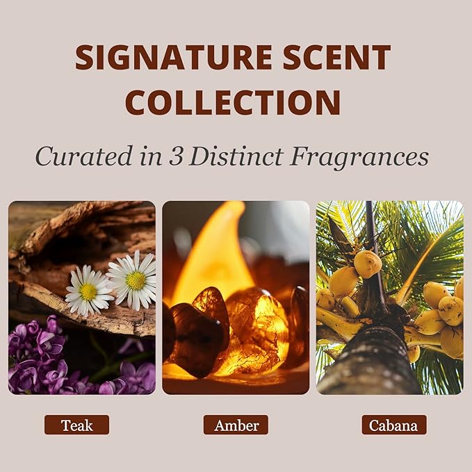 Car Air Freshener - Wood Air Freshener - Car Odor Eliminator for Visor Clip-Variety Scent Refill, Vehicle Scent Diffuser for Cabin, Truck & SUV - Pack of 3 (Teak-Amber-Cabana)-CLIP INCLUDED - Bloomnest