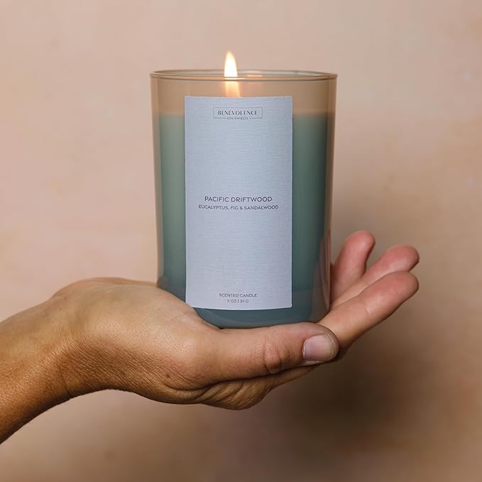 Eucalyptus Fig & Sandalwood Scented Candle | 11oz, 60 Hour Burn | Natural Soy Wax, Cotton Wick | Holiday Candles | Christmas Scented Candles for Home | Sun-Kissed Collection - Pacific Driftwood - Bloomnest