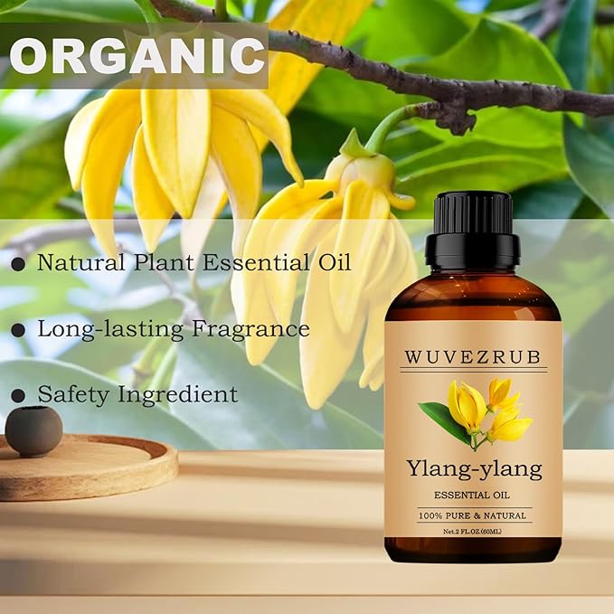 Ylang-Ylang Essential Oils, 60ML Pure and Natural Essential Oil for Aromatherapy Diffuser - Ylang-Ylang /2 Fl Oz - Bloomnest