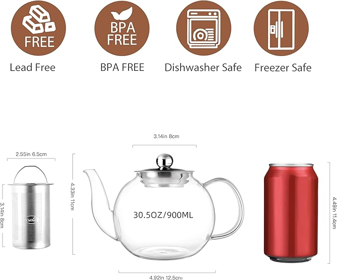 CNGLASS 900ml Glass Teapot with Removable Infuser,Clear Tea Kettle Stovetop Safe,Blooming and Loose Leaf Tea Maker - Bloomnest