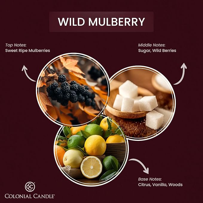 Colonial Candle Wild Mulberry Scented Candle Jar, Highly Fragranced Candles for Home Scented, Mottled Wax Candle, 2 Wick, 8 oz - Made in The USA - Bloomnest