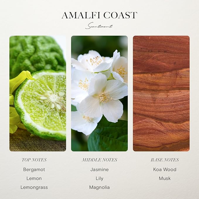 Scentiment Diffuser Oil - Amalfi Coast | Aromatherapy Fragrance | Inspired by Luxury Five Star Hotels | Notes of Bergamot, Lemongrass, Jasmine, Lily, Magnolia & Koa Wood (500 mL) - Bloomnest