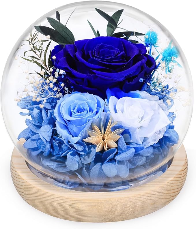 FIACO Preserved Rose Birthday Gift for Women Forever Fresh Flowers for Prime Delivery Gift for Mom Grandma Wife Valentines Mothers Day Christmas Anniversary Eternal Roses in Glass Dome - Bloomnest
