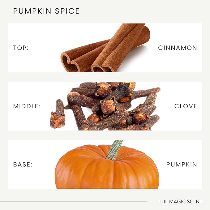 The Magic Scent Pumpkin Spice Aroma Oil - Diffuser Oil Scent - Cold-Air & Ultrasonic Diffuser - Pumpkin Essential Aromatherapy - 8.5 fl oz, 250 mL - Bloomnest