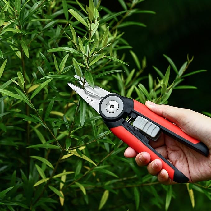 LIVINGO Precision Garden Pruning Shears - Straight Blade Floral Scissors with Non-Slip Handle for Trimming, 8.5" Gardening Clippers for Flowers, Herbs, Bonsai & Indoor Plants - Bloomnest
