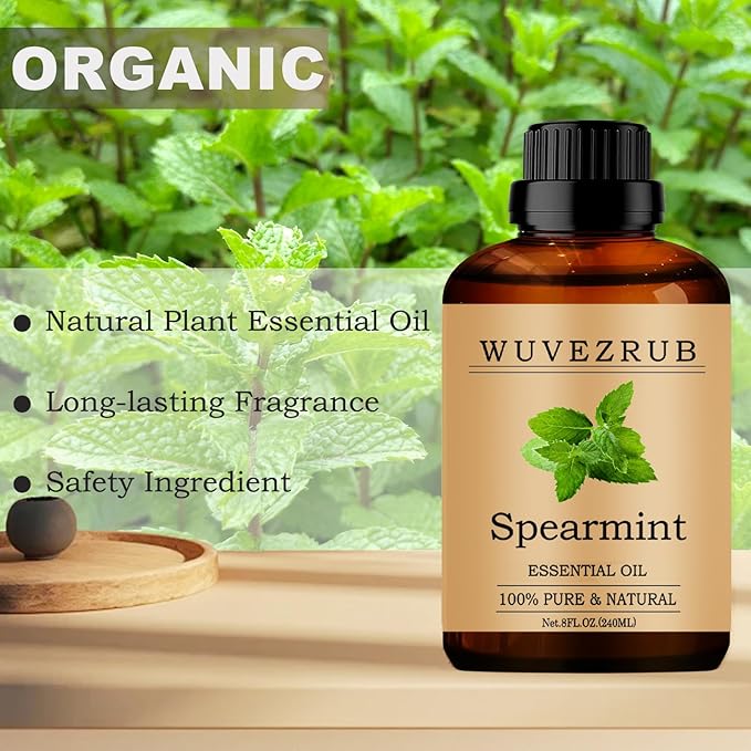 Spearmint Essential Oils, 240ML Pure and Natural Essential Oil for Aromatherapy Diffuser - Spearmint /8 Fl Oz - Bloomnest