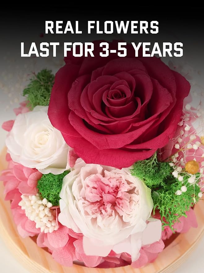 FIACO Preserved Rose Birthday Gift for Women Forever Fresh Flowers for Prime Delivery Gift for Mom Grandma Wife Valentines Mothers Day Christmas Anniversary Eternal Roses in Glass Dome - Bloomnest