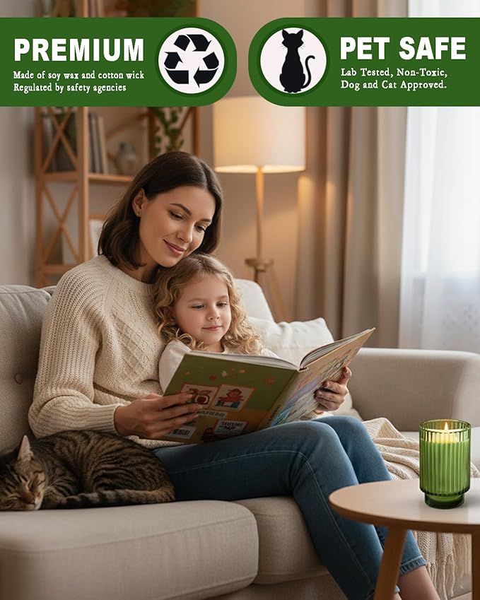 Balsam Cedar Scented Candle for Home, Winter Christmas Soy Candle for Gifts, 70 Hours Burning Fir Jar Candle in Glass, Ideal for Holiday Relaxing Ambience - Bloomnest