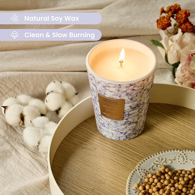 M&SENSE LavenderCitrus Scented Candles for Home, Lead-Free Wick Highly Scented Jar Candles, 14.1 Oz 80 Hours Lasting Burning Candles Gifts for Women, Relaxing Aromatherapy Candle for Stress Relief - Bloomnest