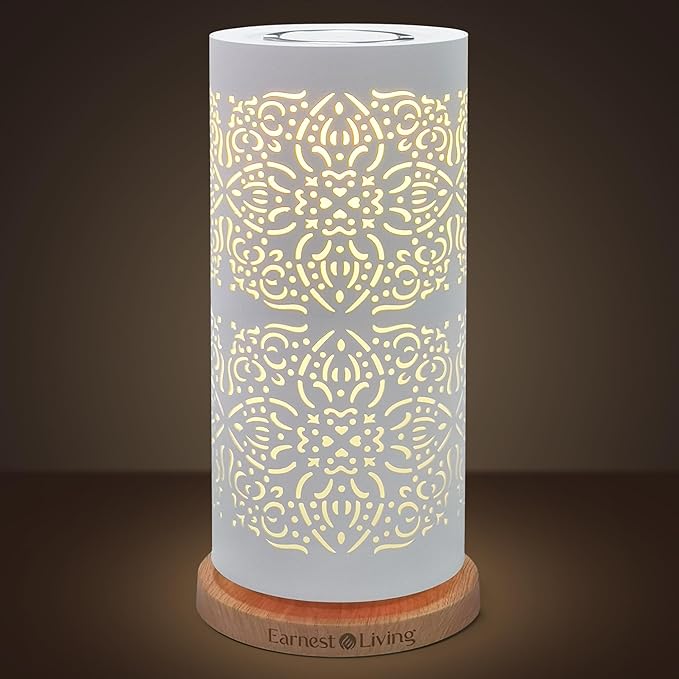 Earnest Living Waterless Diffuser 100ml Nebulizing Diffusion System for Large Ambient Space Studio Home Office Hotel Spa - Bloomnest