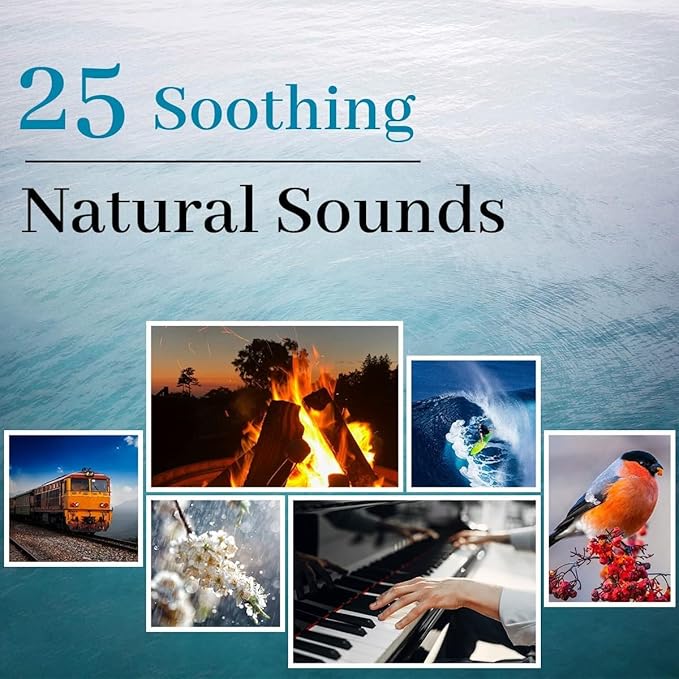 White Noise Sound Machine with 25 Soothing Natural Sounds Rechargeable Battery Portable for Travel 32 Volume Levels 5 Timers Compact Size for Baby Kids Adults Sleeping (Black-Upgrade) - Bloomnest
