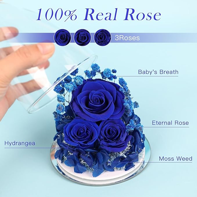 Valentines Day Gifts for Her Preserved Flower Rose Gifts for Women, Forever Eternal Fresh Flowers in Glass Angel Figurines Flowers for Delivery for Grandma Mom Sister Her Wife on Mothers Day Birthday - Bloomnest