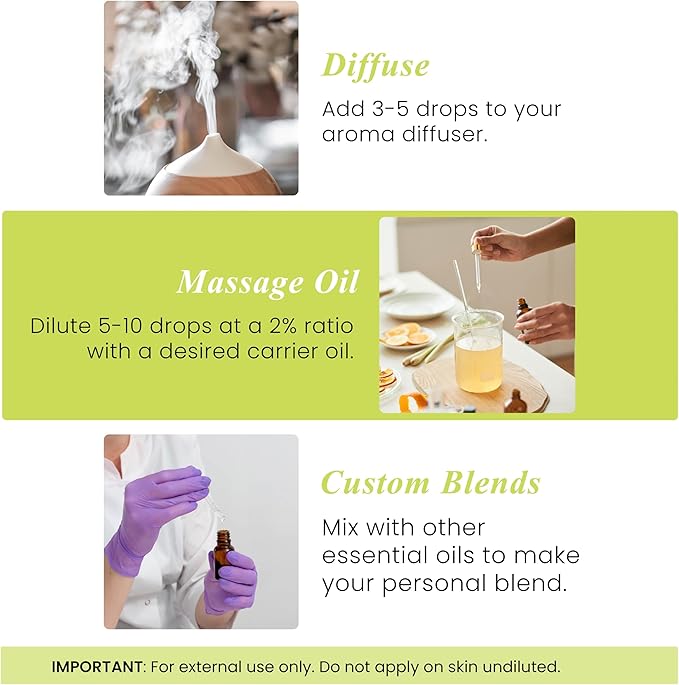Handcraft Blends Lime Essential Oil – 1 Fl Oz – 100% Pure and Natural – Premium Grade Essential Oil for Diffuser and Aromatherapy, Skin, Massage, Candle and Soap Making Fragrance - Bloomnest