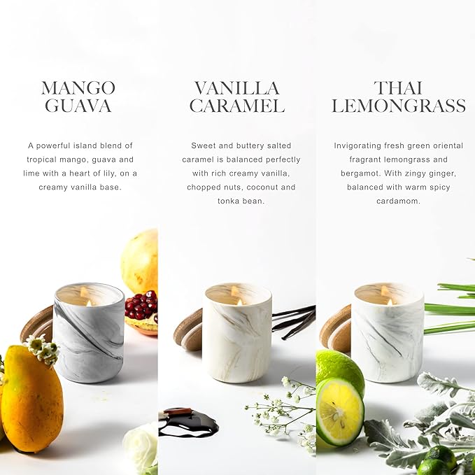 Candle Gift Set, 10% Essential Oil, 3 Pack-Thai Lemongrass,Vanilla Caramel,Mango Guava with Heat-Resistant Ceramic Jar, Scented Candle for Home Scenetd, Soy Wax Candle Gifts for Women - Bloomnest