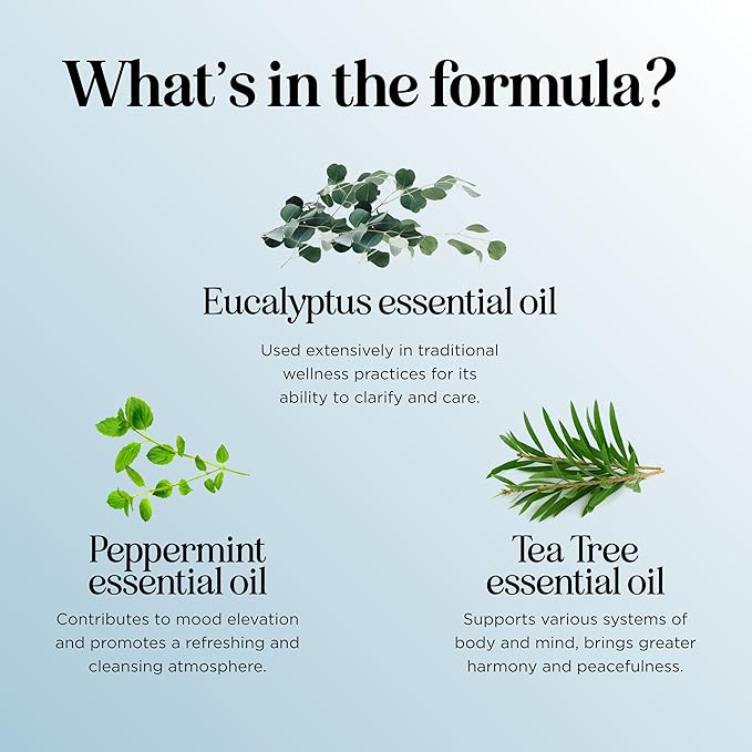 Breathe Essential Oil for Diffuser - Invigorating and Refreshing Breathe Essential Oil Blend with Eucalyptus Peppermint Tea Tree and Mint for Diffusers for Home and Shower Aromatherapy (4 Fl Oz) - Bloomnest