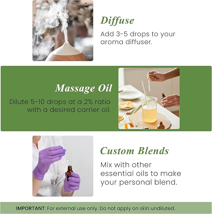 Handcraft Blends Rosemary Essential Oil – 1 Fl Oz – 100% Pure and Natural – Premium Grade Essential Oil for Diffuser and Aromatherapy, Skin, Massage, Candle and Soap Making Fragrance - Bloomnest