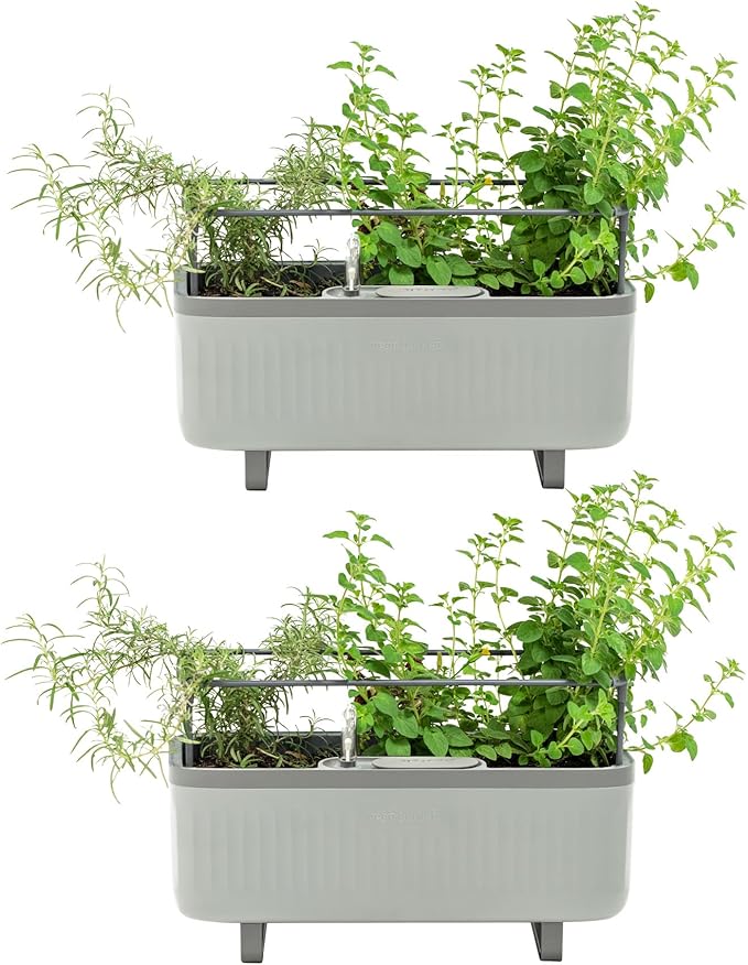 Vego garden 2 Pack Herb Indoor Plant Box, Self Watering Planters Pots for Indoor Plants with Trellis for Kitchen Window Sill or Countertop Plants Cage - Fog Gray - Bloomnest