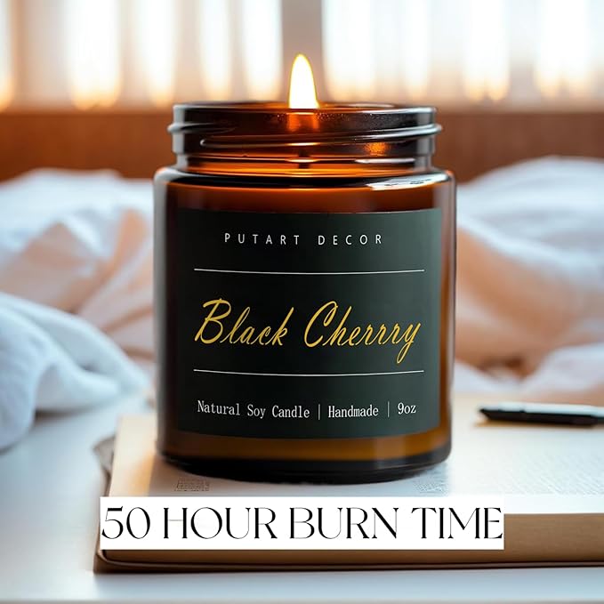 Black Cherrry Scented Candle for Home, Natural Soy Wax Aromatherapy Non Toxic Candle Gifts for Women & Men, Handmade Highly Scented & Long Lasting Jar Candle for Stress Relief (9oz) - Bloomnest