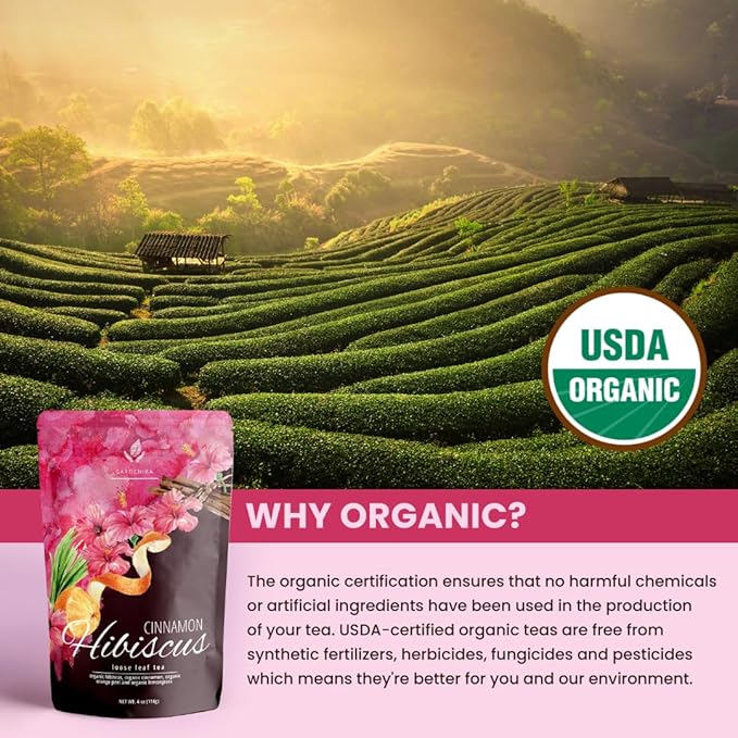 Gardenika Organic Cinnamon Hibiscus Loose Leaf Tea | Natural & Antioxidant Rich | Caffeine-Free | 55+ Cups | USDA Organic & Kosher | 4 oz - Bloomnest