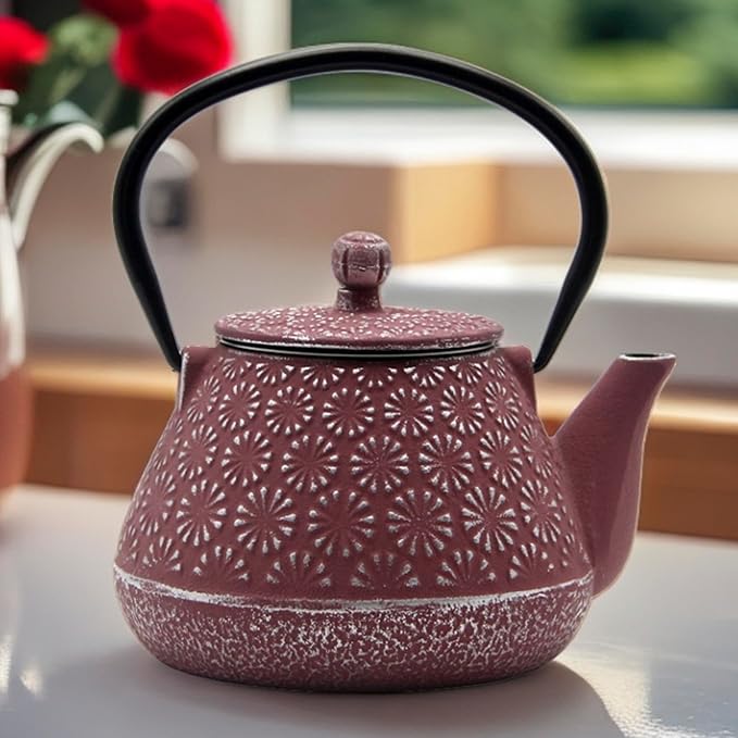 Cast Iron Teapot, 20.3oz Small, Enameled Interior, Stainless Steel Infuser for Loose Tea (Pink Gerbera Pattern) - Bloomnest