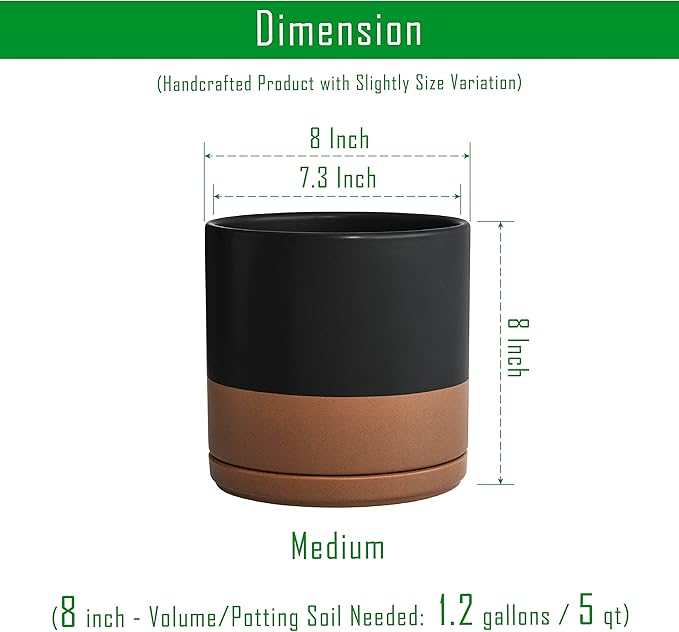 D'vine Dev Set of 2 Plants Pots, 8 Inch Ceramic Planter Pot for Plants with Drainage Hole and Saucer, Black/Speckled Tan, 94-V-D-7 - Bloomnest