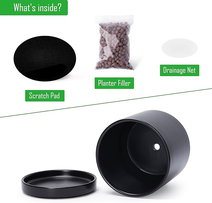 D'vine Dev Set of 2 Plants Pots, 8.2 Inch Ceramic Planter Pot for Plants with Drainage Hole and Saucer, Black, 94-V-D-2 - Bloomnest