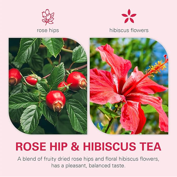 WT WEETEE Rosehips Hibiscus Tea Bags, Made with Rosehip & Hibiscus Flowers, Natural Caffeine-free Herbal Tea 2.5g x 60 Counts - Bloomnest