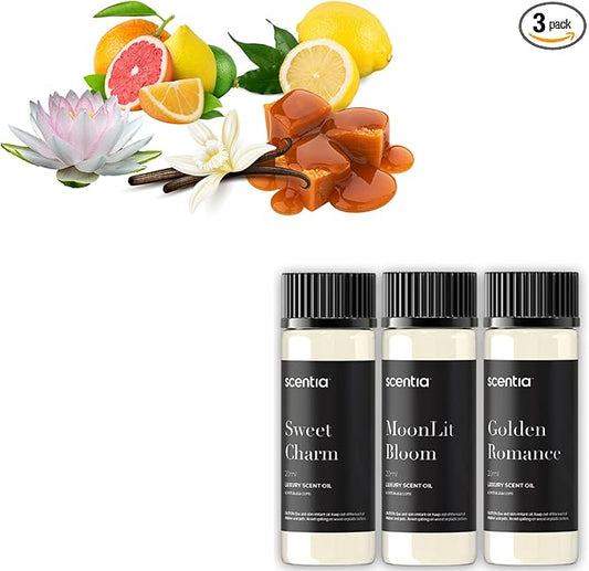 Love Collection Fragrance Oil Set – Essential Oil Blends for Diffusers, Candles & Soaps – Jasmine, Rose, Citrus, Amber & Musk – Made in USA, Phthalate-Free – Holiday Gift Set 3×20ml (2.03 fl oz) - Bloomnest