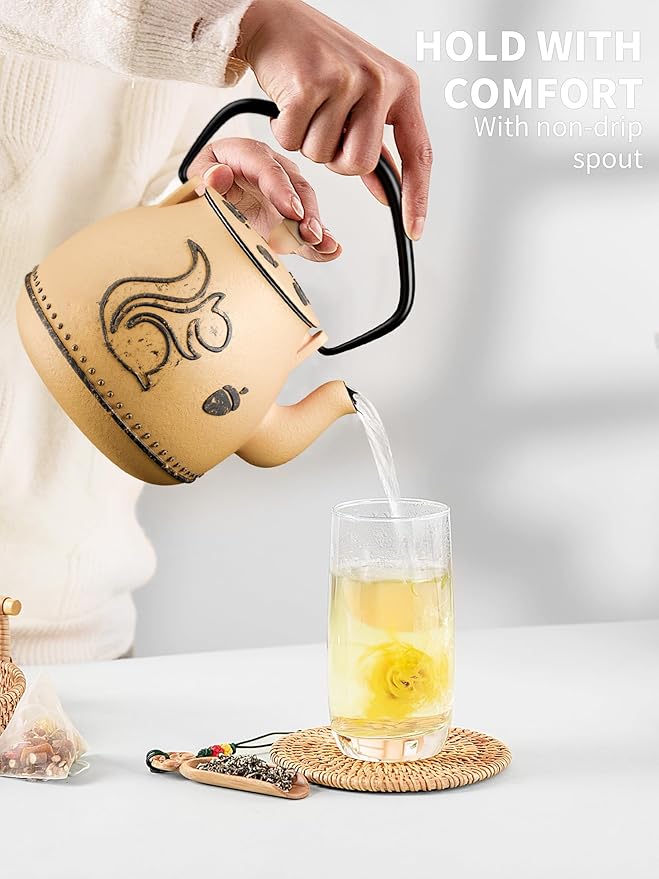 Toptier Teapot with Removable Infuser, Cast Iron Tea Kettle Stovetop Safe, Squirrel Design Tea Pot Coated with Enameled Interior for 32 Ounce (950 ml), Orange - Bloomnest