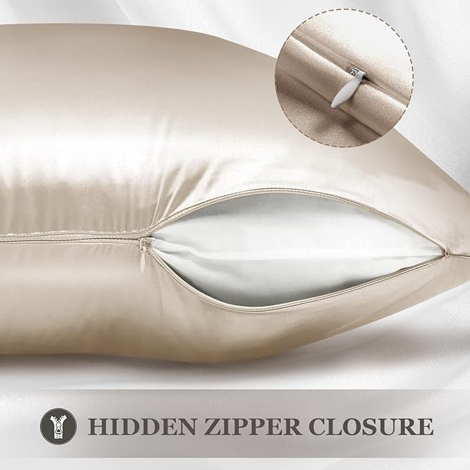 Adubor Silk Pillowcase 2 Pack for Hair and Skin with Hidden Zipper, Both Sides 23 Momme Silk Pillow Case (Beige, Queen: 20''X30'') - Bloomnest