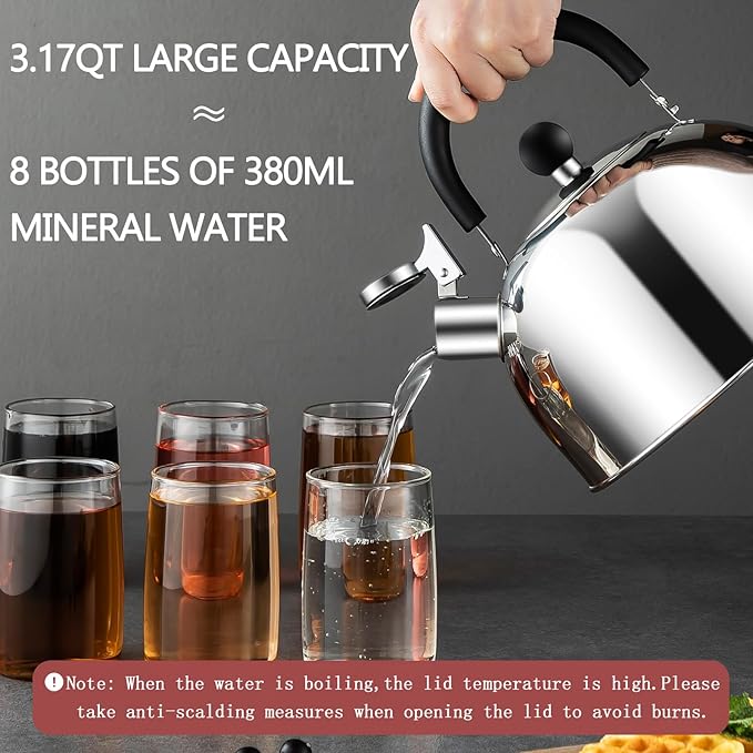 304 Stainless Steel Whistling Tea Kettle 3.17 Quart/3L Tea Pot, Suitable to Boiling Water & Tea on Induction Stove, Gas Stove Top - Bloomnest
