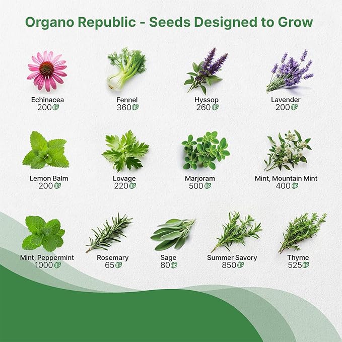 Organo Republic 25 Medicinal & Tea Herb Seeds Variety Pack for Indoor & Outdoors. 10900+ Non-GMO Heirloom Garden Seeds: Anise, Borage, Cilantro, Chamomile, Dandelion, Rosemary, Peppermint Seeds - Bloomnest