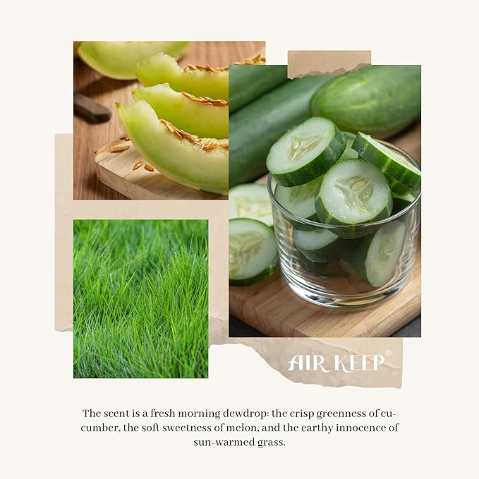 Airkeep Reed Diffuser Set,3.38 fl oz (100 ml) - Cucumber Melon Oil Diffusers with 8 Reed Sticks, Home Fragrance Reed Diffuser for Bathroom Shelf Decor - Bloomnest