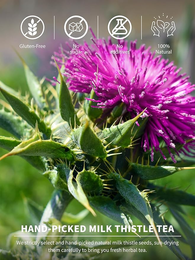 TeeLux Milk Thistle Tea Bags, 3g/bag, Natural Milk Thistle Seed Tea, Mild & Mellow Taste, Caffeine Free, 60 Count - Bloomnest