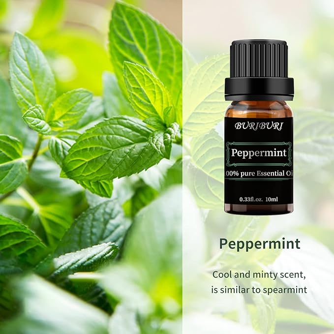 BURIBURI Peppermint Essential Oil 100% Pure, Undiluted, Natural, Organic Aromatherapy Mint Essential Oils 10ML for Diffuser, Soap Candle Making BURIBURI