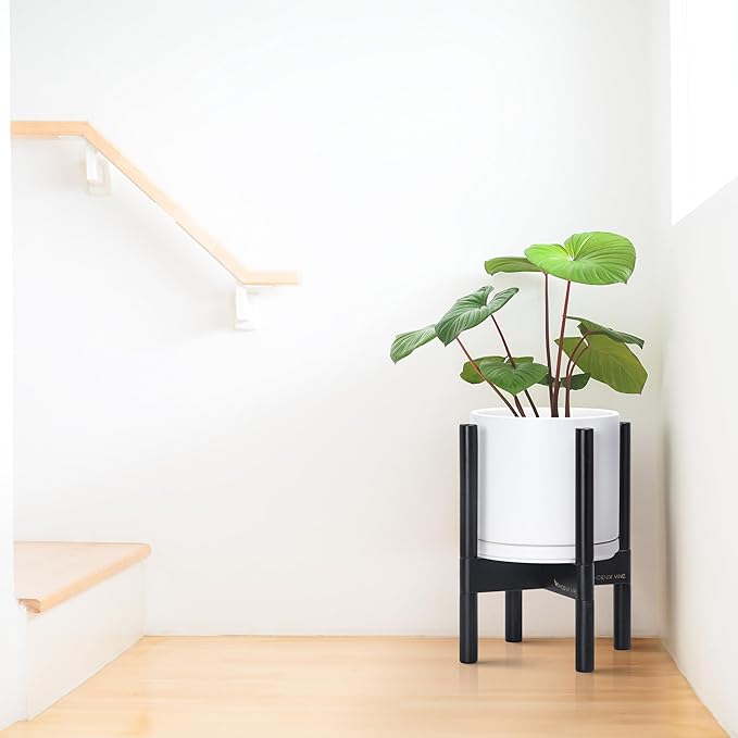 D'vine Dev Ceramic Planter with Ebony Stand - 8 Inch Modern Round Flower Pot with Wood Planter Holder, White, 55-B-M-1 - Bloomnest