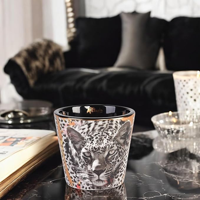 Scented Candle | Eco-Friendly Soy Blend Wax | Luxury Candles | Perfect for Gifting | Perfect for Home Décor | 14oz | 10cm Tall | Approx Burn Time - 80 Hours (Savannah Nights, 10cm) - Bloomnest
