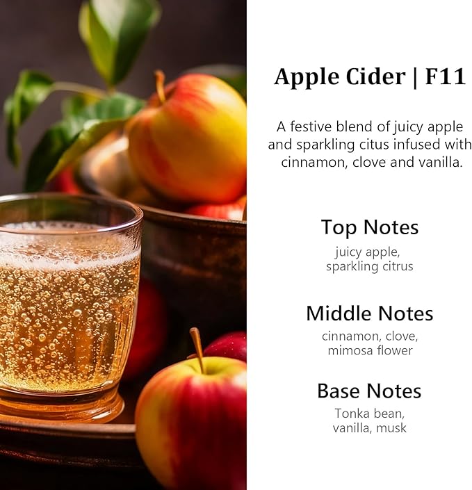 HoogaLife Car Air Freshener Diffuser 2 Pack Hanging Air Freshener Diffuser - Apple Cider Fragrance Oil Air D iffuser for Car, 45+ days Long Lasting Fragrance Made in USA （F11） - Bloomnest