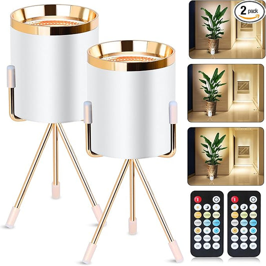 Spot Lights Indoor Floor Lamp, 6W Uplighting Indoor with Remote, Dimmable & Timer & 3 Color Temperatures, 2700K to 6500K Floor Can Lights for Plants Pictures Corner Ambient Lighting, 2 Pack - Bloomnest
