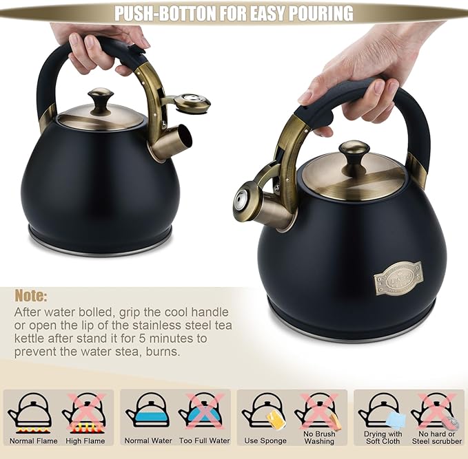 Tea Kettle Stovetop Whistling Kettle Teapot, 3Quart Tea Pot Stainless Steel Teakettle for Stove Top with Heat Proof Ergonomic Handle - Bloomnest