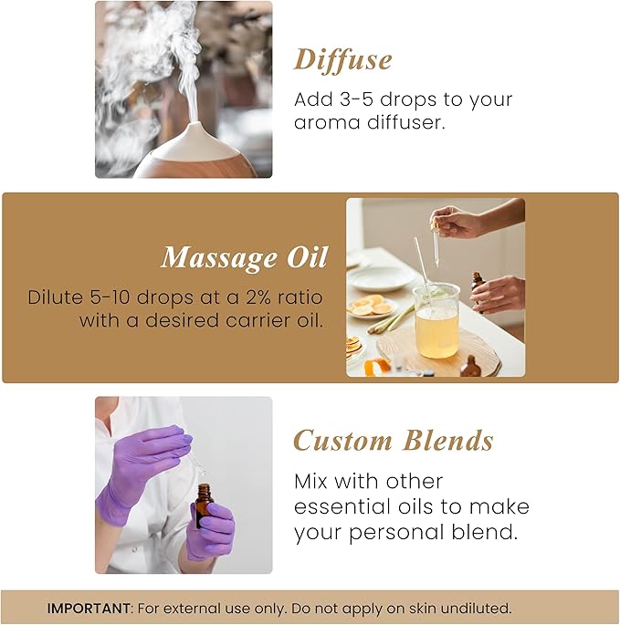 Handcraft Blends Frankincense Essential Oil – 1 Fl Oz – 100% Pure and Natural – Premium Grade Essential Oil for Diffuser and Aromatherapy, Skin, Massage, Candle and Soap Making Fragrance - Bloomnest