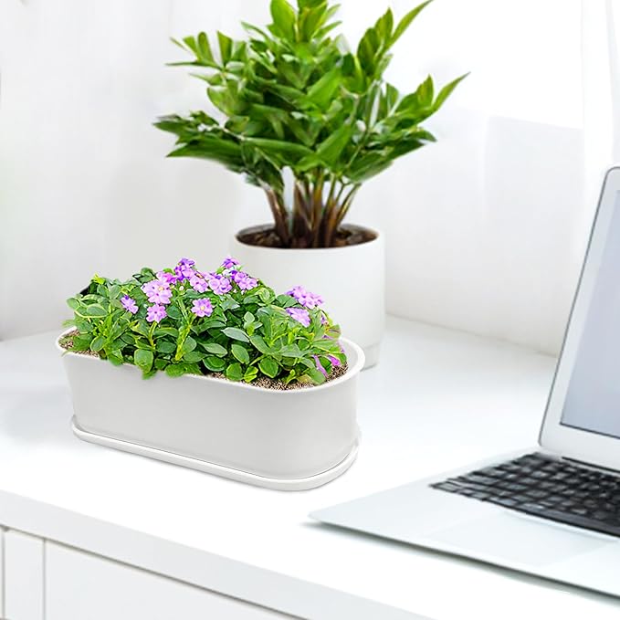 5 Set Window Herb Planter Box Rectangular,8.5x3.5 Inch White Plastic Planters with Multiple Drainage Holes and Trays,Indoor Succulent Cactus Mint Flower Pot for Windowsill,Garden Balcony - Bloomnest