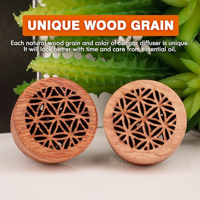 Essential Oil Car Diffuser, 2 PCS Car Aromatherapy Wood Diffuser with Vent Clip - Bloomnest