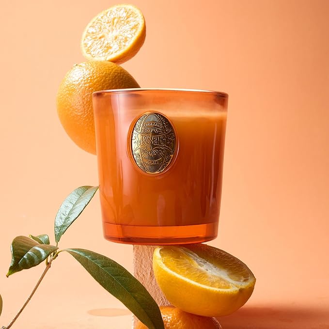 M&SENSE Natural Fresh Soy Candle | Orange Goji & Neon Orange | 9.2 oz, 50H Burn Time | Luxury Scented Candle for Relaxation, Gifting, Home Décor | Ideal for Bedroom, Office, Party Ambiance - Bloomnest