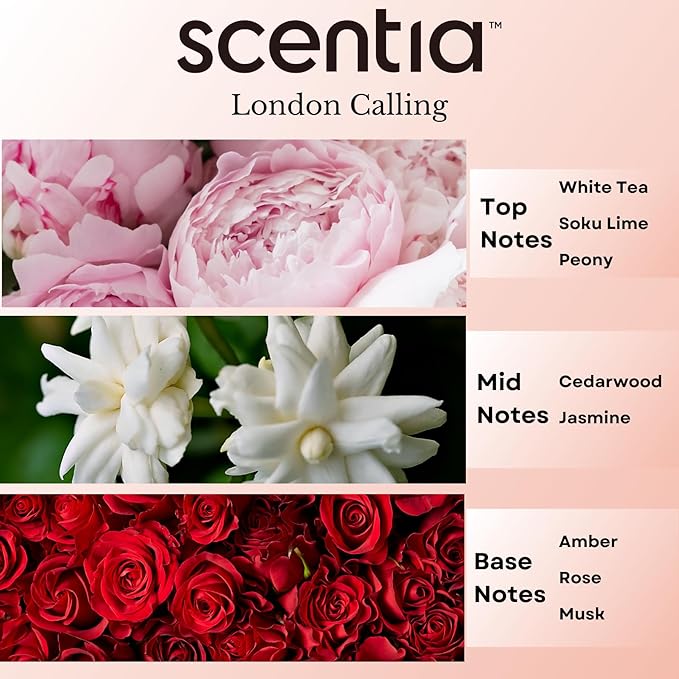 Scentia Hotel Diffuser Oil Inspired by Ferrari - 20 ml 0.67 fl oz - Essential Oil Blendwith White Tea, Cedarwood & Soku Lime for Aromatherapy Diffusers and Humidifiers - London Calling Scentia